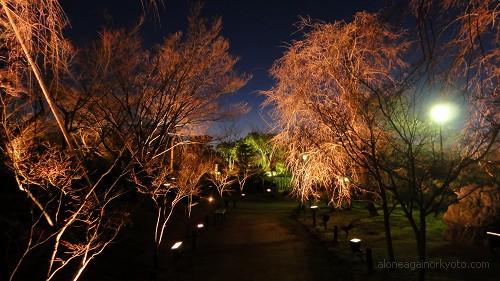 枝の庭園