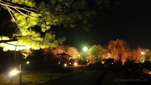 大王松と庭園