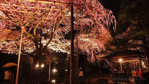 「忽ち夕空にひろがっている紅の雲」