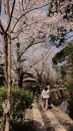 微妙にカーブする小川