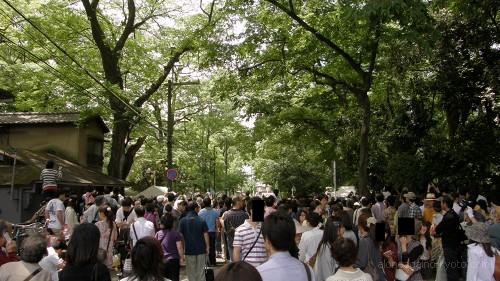 下鴨神社