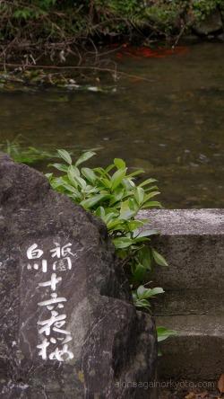 かにかくに歌碑と金魚